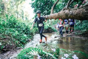 BIB: 
                            <button type="button" onclick="openModal(25464497)" class="btn btn-primary btn-sm float-right btn-popup" data-toggle="modal" data-target=".modal-high-quality">
                        <i class="fas fa-shopping-cart"></i> Add to Cart
                    </button>
                                            <button type="button" onclick="isThisMe(25464497, true)" class="btn btn-success btn-sm float-right btn-popup btn-isme hidden" data-toggle="tooltip" data-placement="bottom" title="นี่คือรูปของคุณใช่ไหม คลิกที่นี่เพื่อเอาเข้าอัลบั้ม">
                        <i class="fas fa-plus"></i> Add to album
                    </button>
                    <button type="button" onclick="isThisMe(25464497, false)" class="btn btn-warning btn-sm float-right btn-popup btn-isnotme hidden">
                        <i class="fas fa-ban"></i> Remove from album
                    </button>